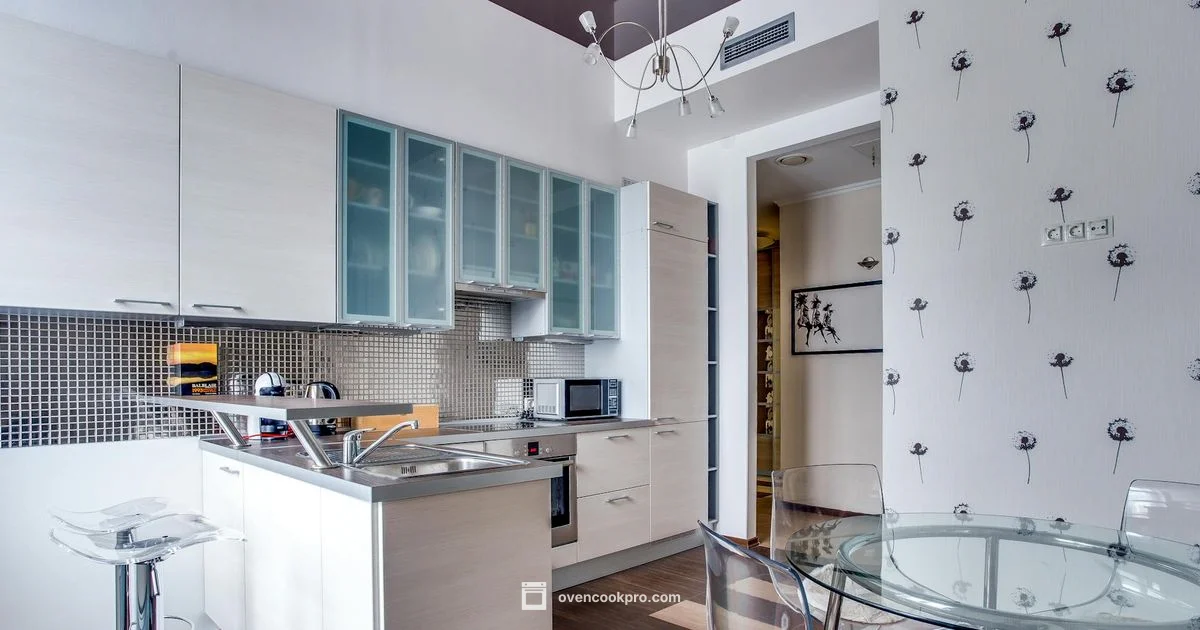 Combi Oven Guide - Oven Cook Pro
