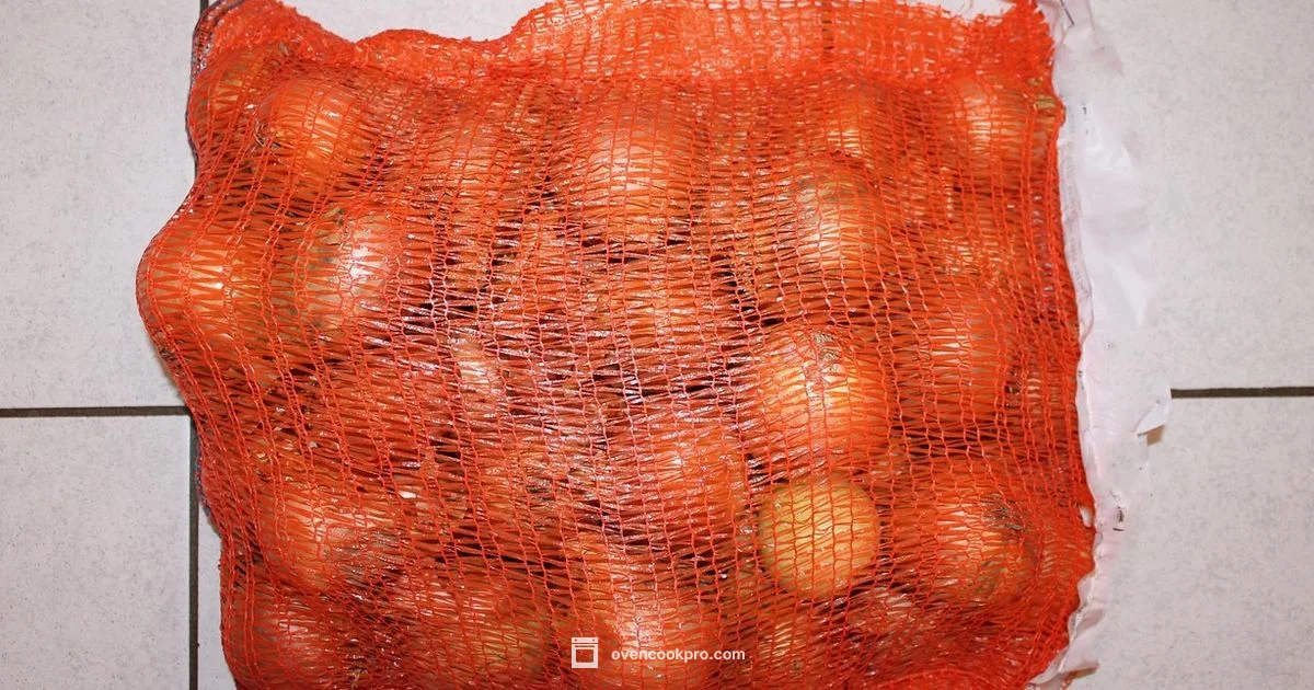 Brining with Oven Bags - Oven Cook Pro