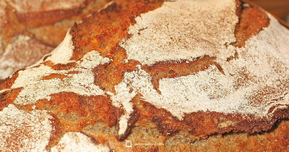 Bread Oven Guide - Oven Cook Pro