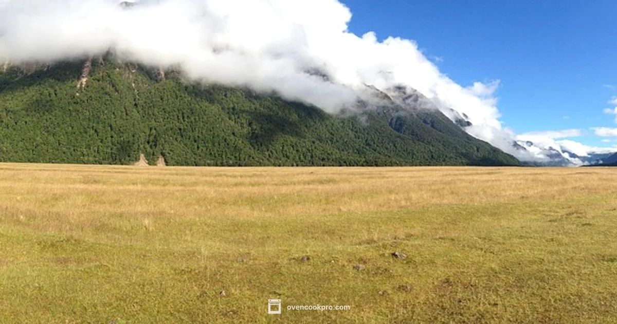 Door Open Oven Guide - Oven Cook Pro