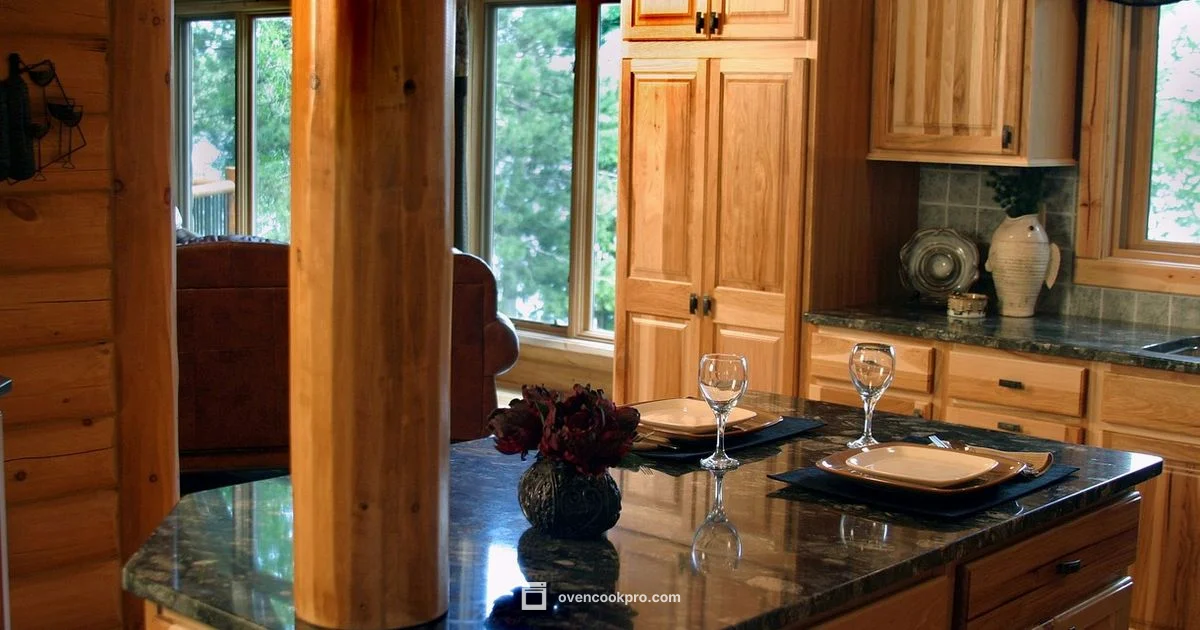 Oven Without a Range - Oven Cook Pro