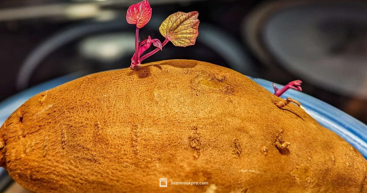 Microwave Potatoes Guide Microwave Potatoes Guide - Oven Cook Pro