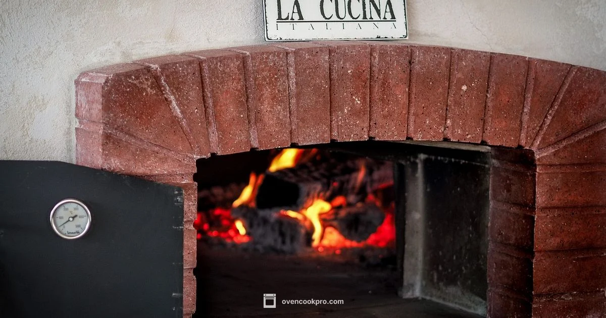 Oven Rack Reinsertion - Oven Cook Pro