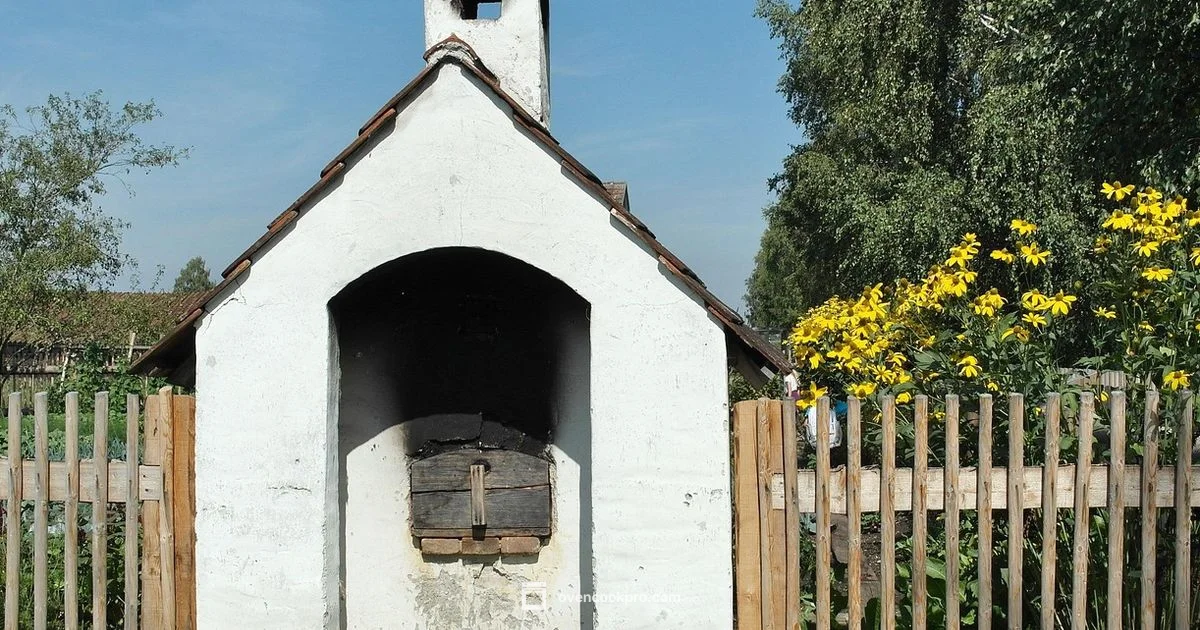 Safe Oven Disposal - Oven Cook Pro