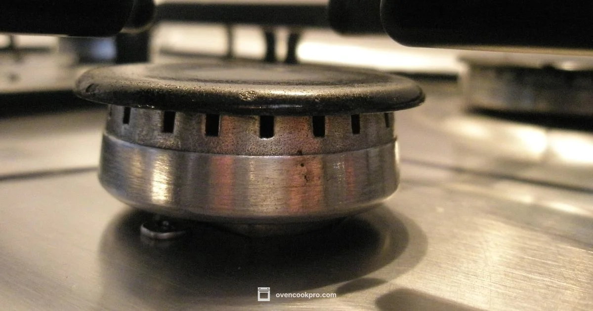 Burnerless Ovens - Oven Cook Pro