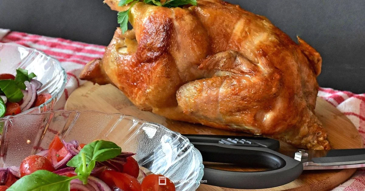 Oven Chicken Temp Oven Chicken Temp - Oven Cook Pro