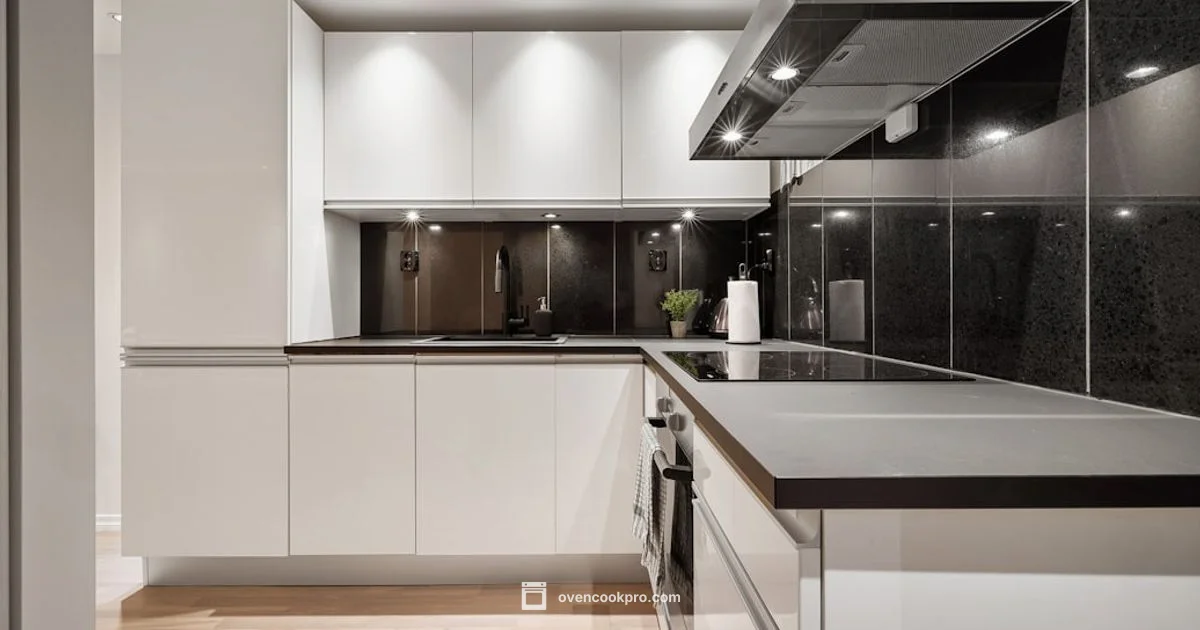 Induction Oven Insights - Oven Cook Pro