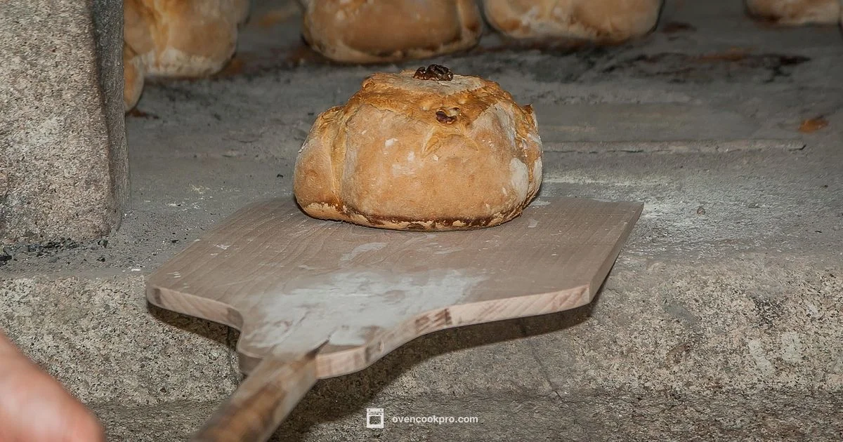 Oven Cost Overview - Oven Cook Pro