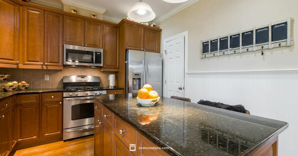 Top Rated Conv. Oven - Oven Cook Pro