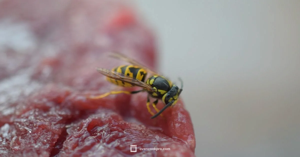 Wasps & Oven Safety - Oven Cook Pro