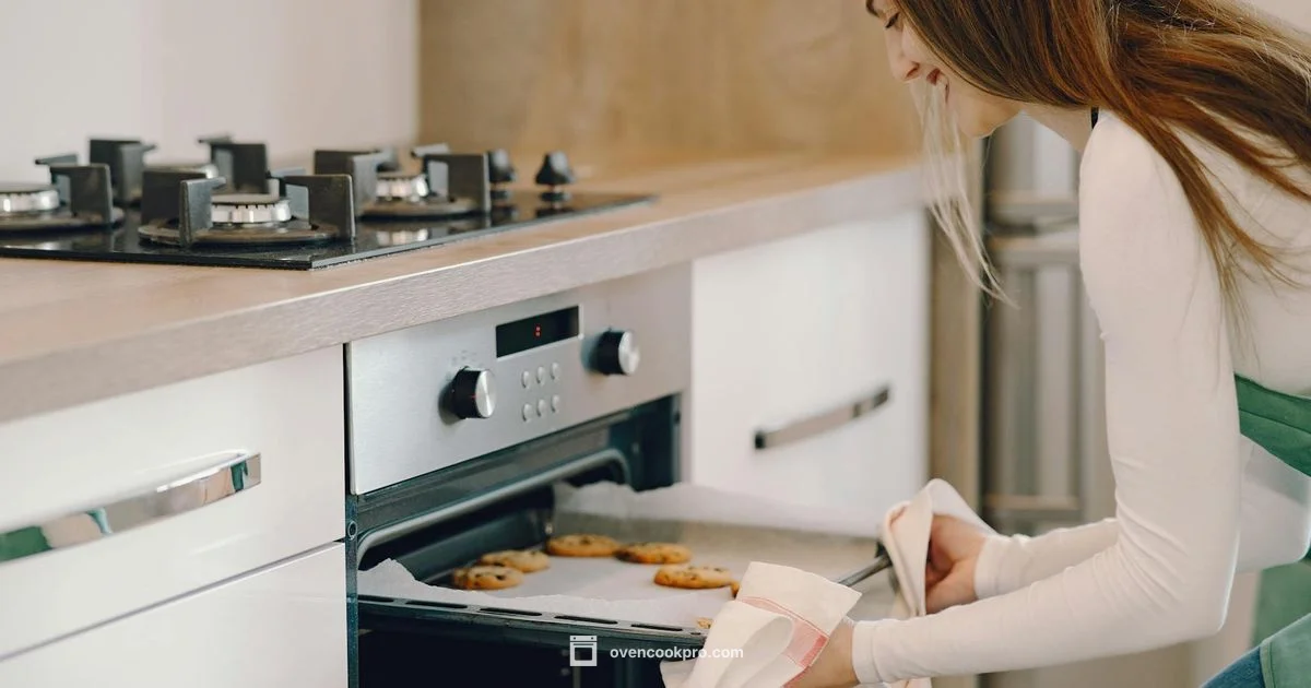Convection vs Air Fryer - Oven Cook Pro