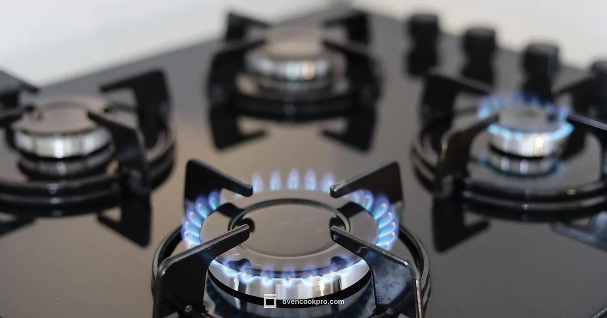 Gas Stove Essentials - Oven Cook Pro