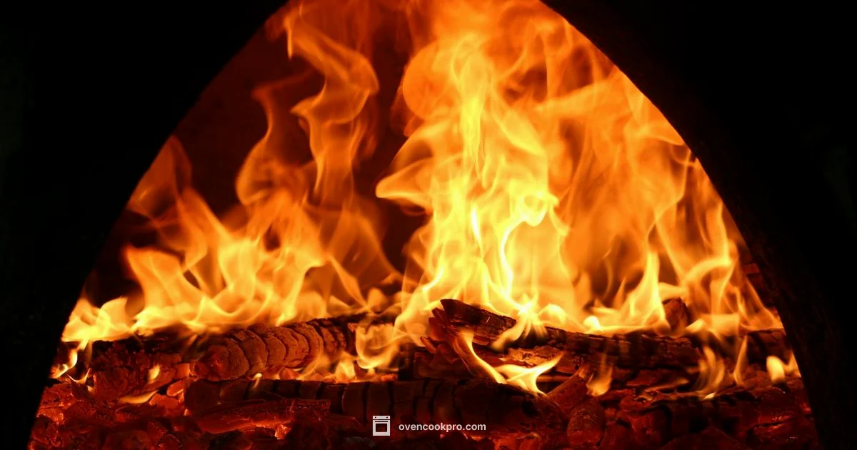 Oven Element Blow - Oven Cook Pro