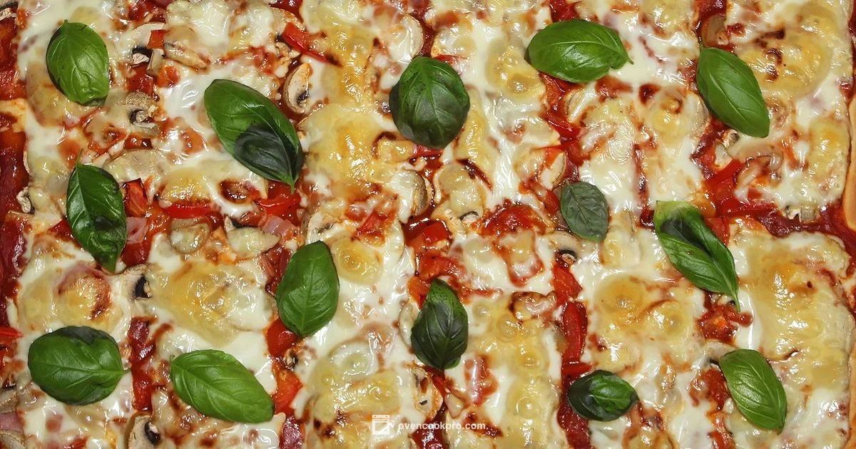 Pizza Oven Uni Guide - Oven Cook Pro