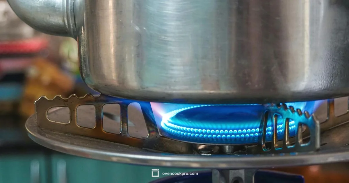 Oven Igniter Cost - Oven Cook Pro