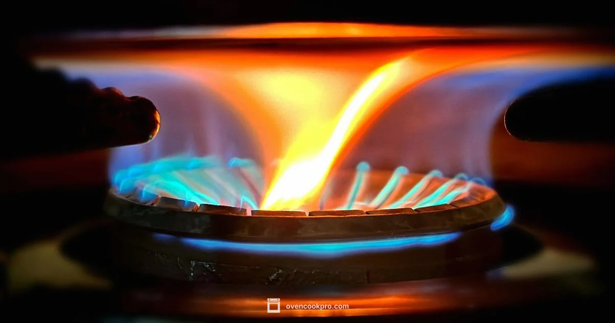 Igniter Guide - Oven Cook Pro