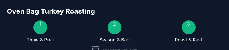 Infographic showing the oven bag turkey roasting process
