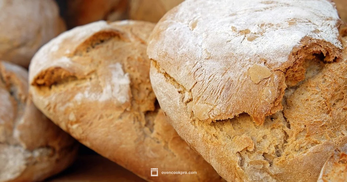 Brick Oven Mastery - Oven Cook Pro