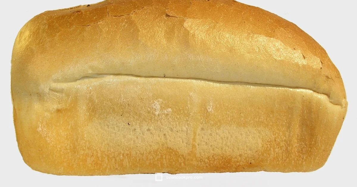 Bake in Oven - Oven Cook Pro