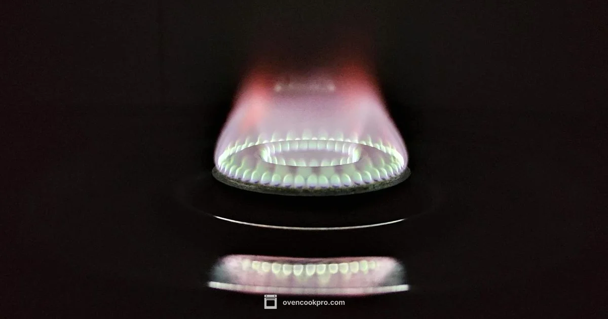 Fix Gas Oven Safety - Oven Cook Pro