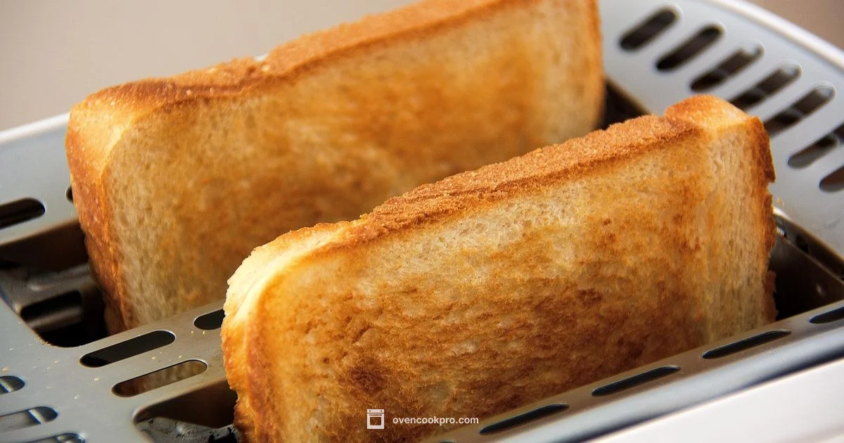 Toaster Invention Timeline - Oven Cook Pro