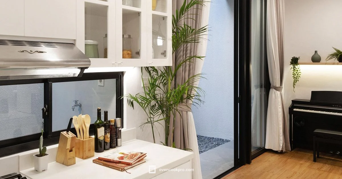 Top Induction Picks - Oven Cook Pro