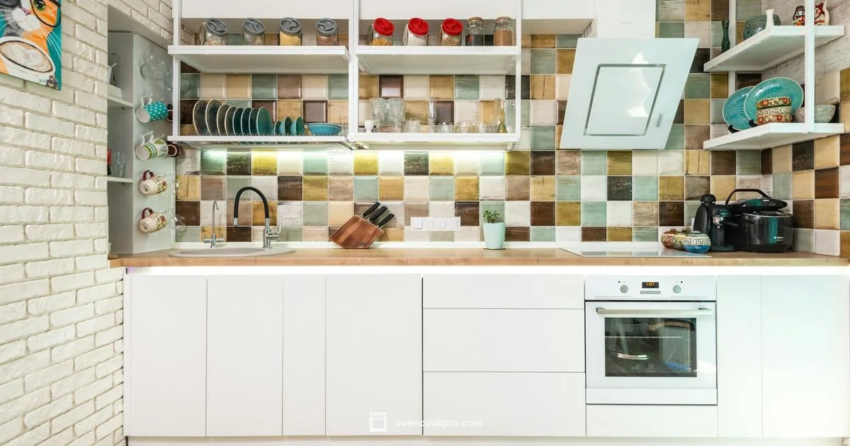 Budget Oven Picks - Oven Cook Pro