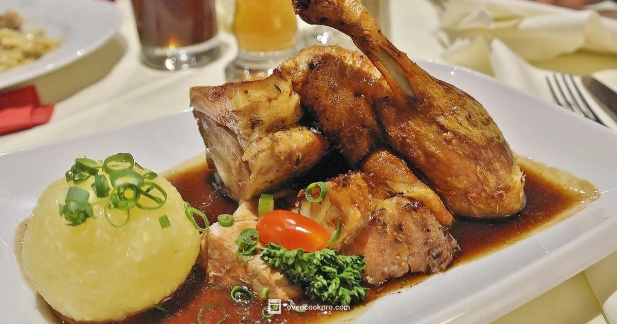 20 lb Turkey Roast - Oven Cook Pro