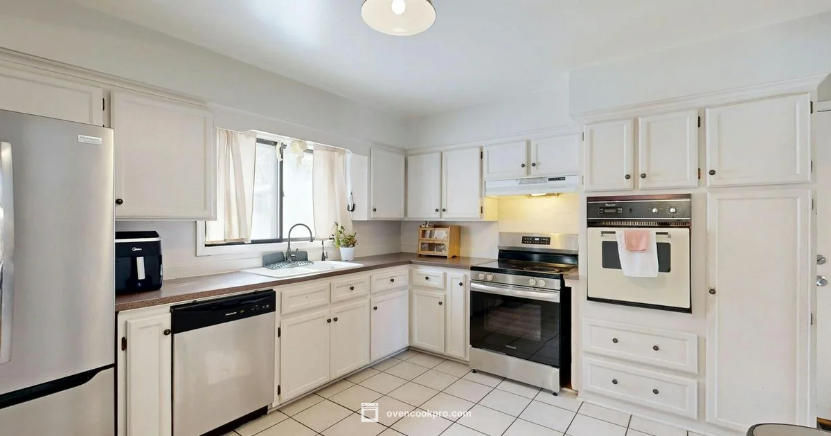 Melted Plastic Cleanup - Oven Cook Pro