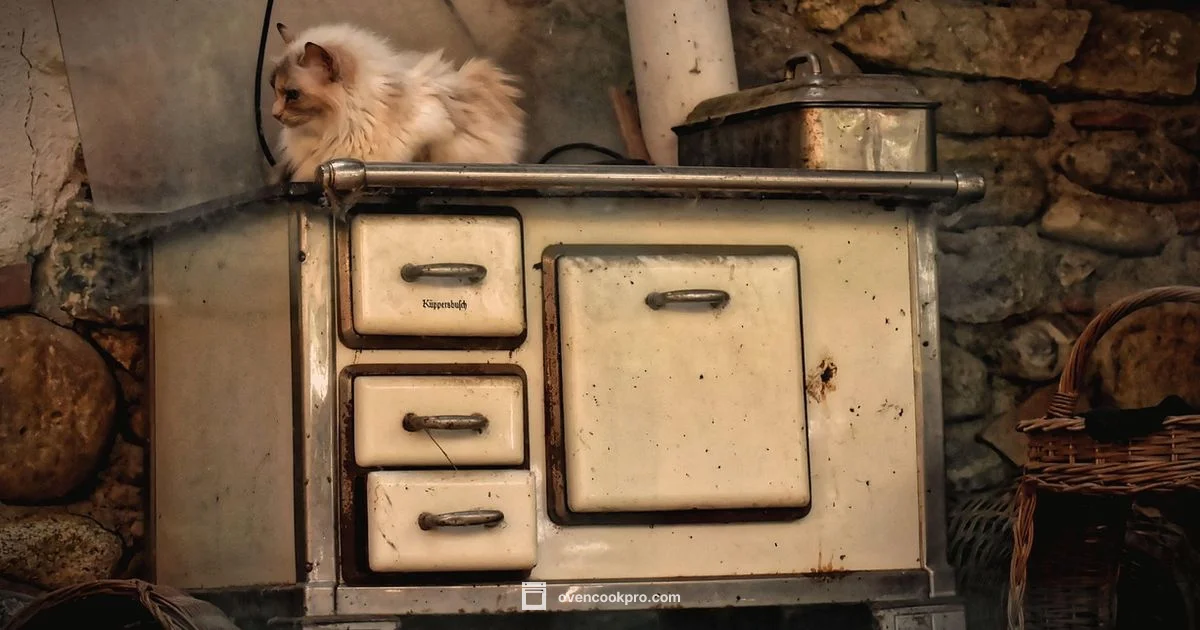 Oven History Timeline - Oven Cook Pro