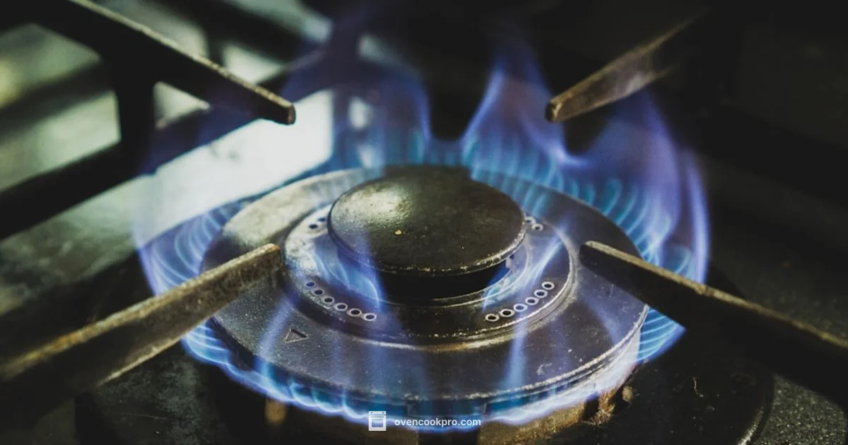 Power-Out Oven Lighting - Oven Cook Pro