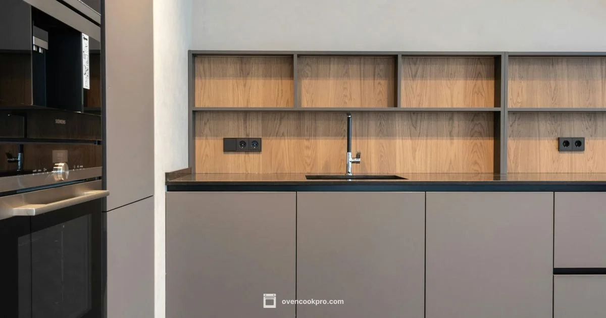 Shop Electric Ovens - Oven Cook Pro