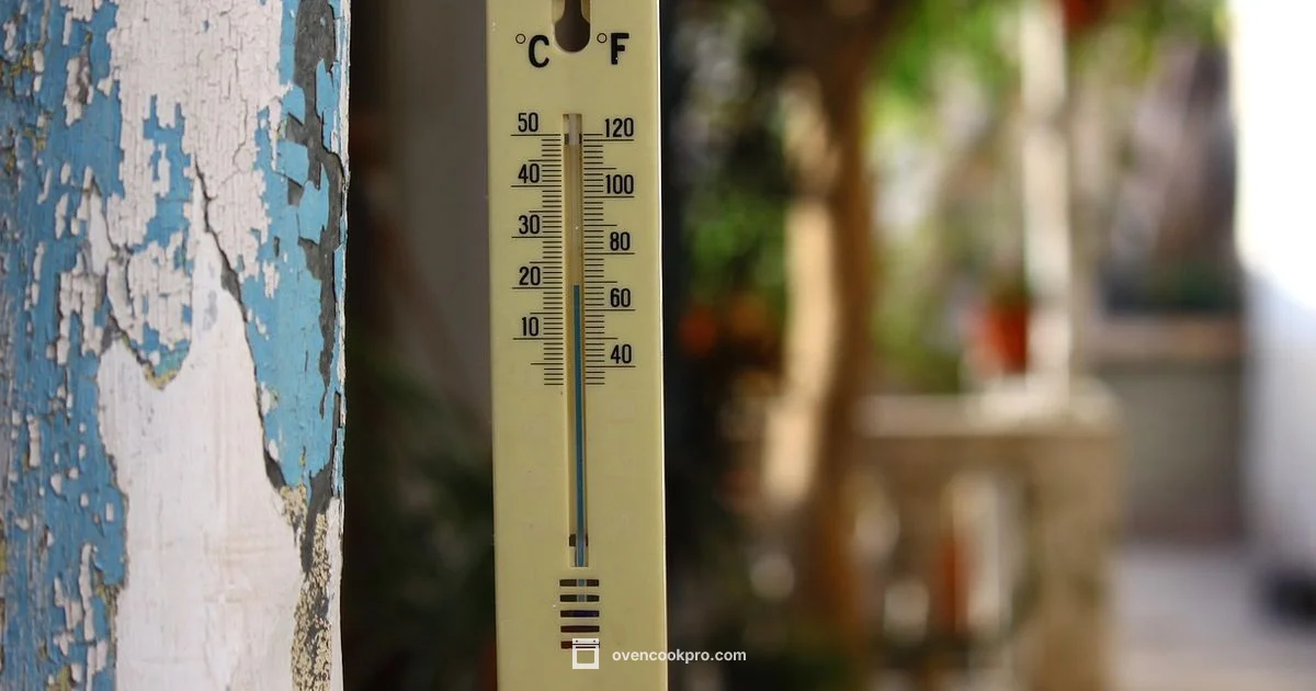 Oven Thermometer Guide - Oven Cook Pro