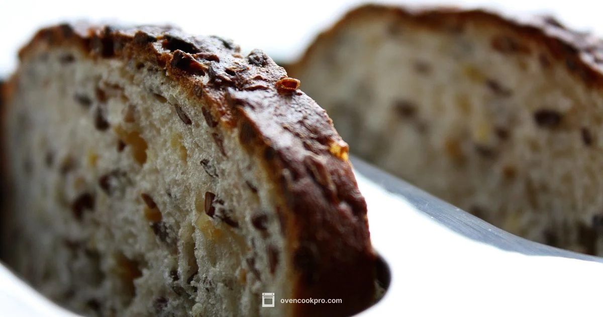 Toaster Oven Basics - Oven Cook Pro