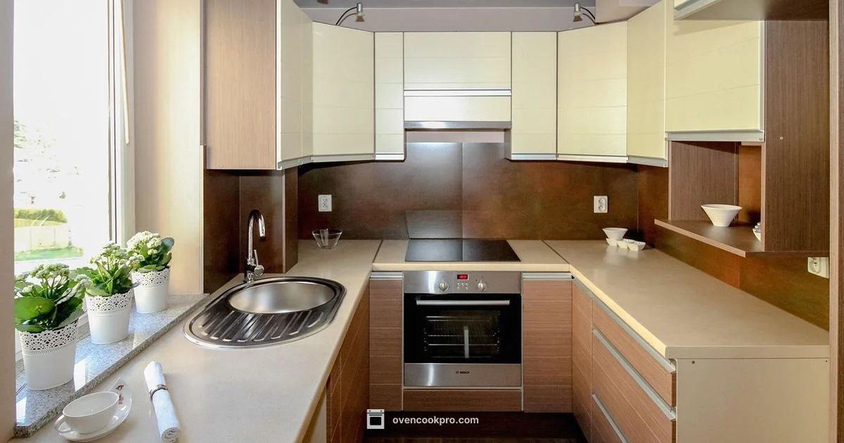 Odor during Preheat - Oven Cook Pro