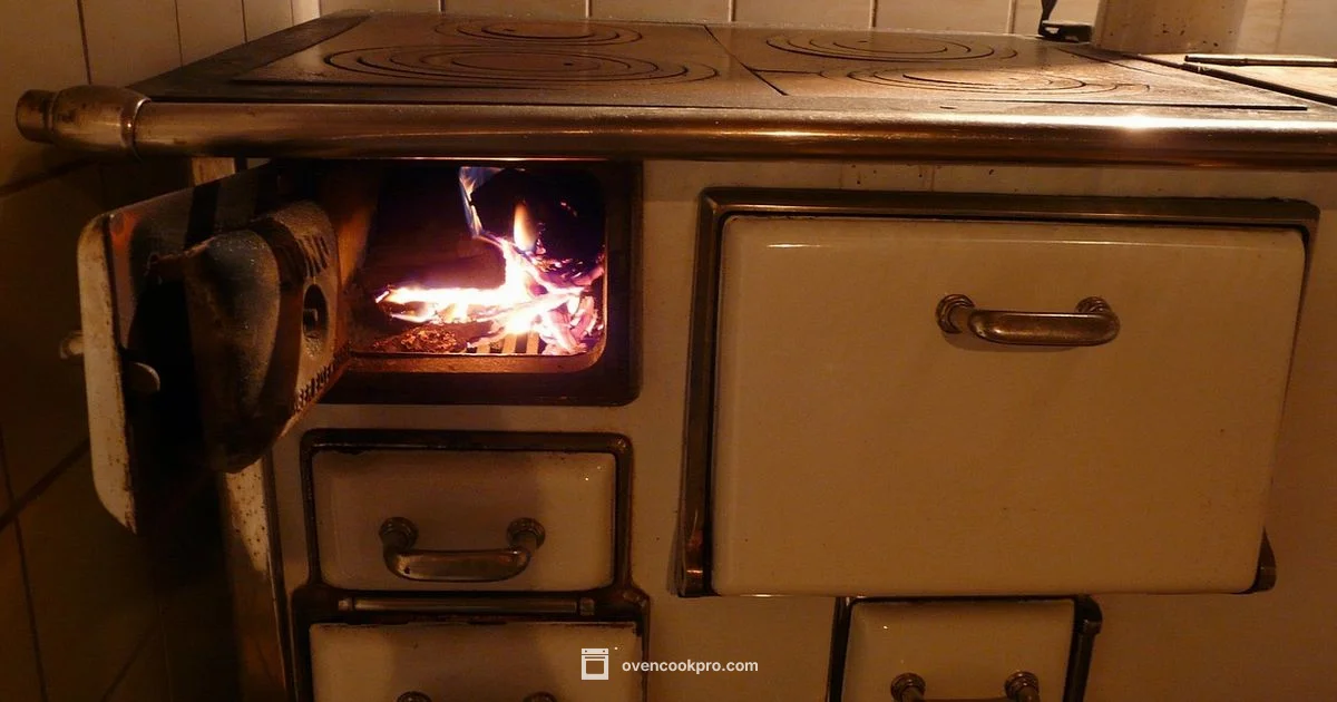 Oven Energy Guide - Oven Cook Pro