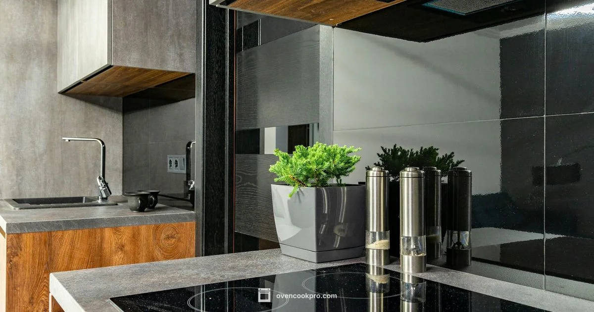 Induction in Ovens - Oven Cook Pro