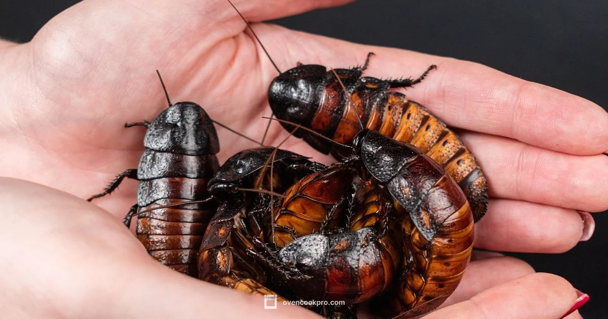 Oven Cleaner Roach Guide - Oven Cook Pro