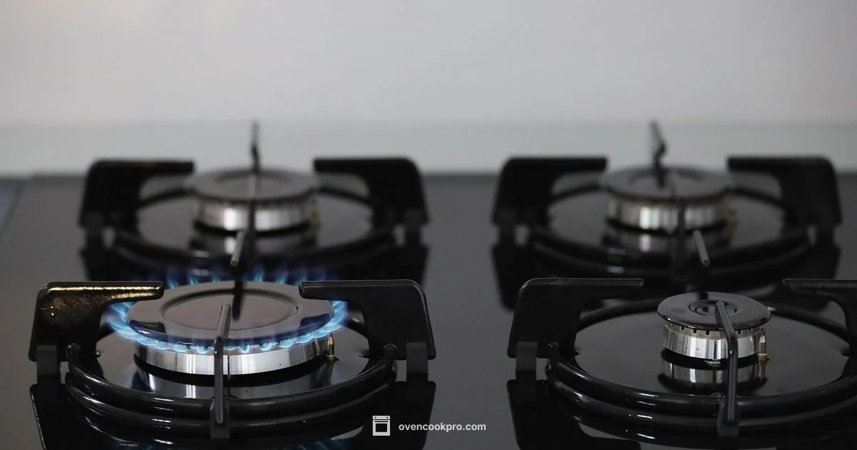 Stove Lifespan Guide - Oven Cook Pro