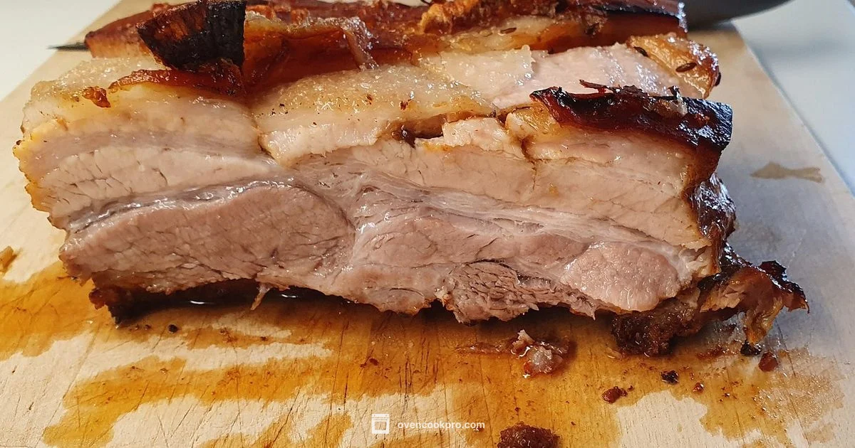 Juicy Pork Tenderloin - Oven Cook Pro