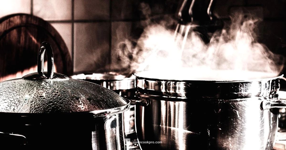 Steam Oven Guide - Oven Cook Pro