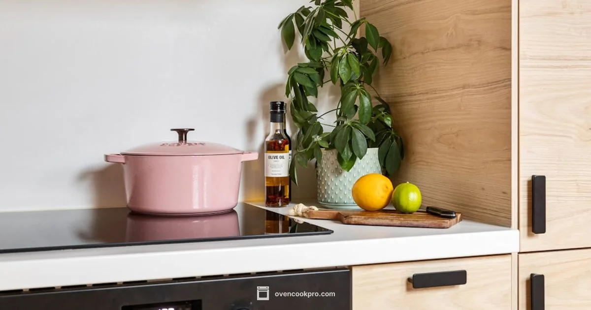 Plug In Guide - Oven Cook Pro