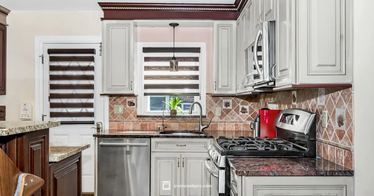 Toaster vs Convection - Oven Cook Pro