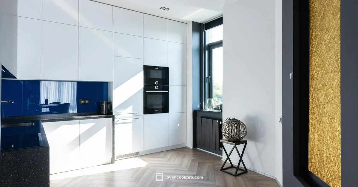 Built In 24 Inch Wall Oven - Oven Cook Pro