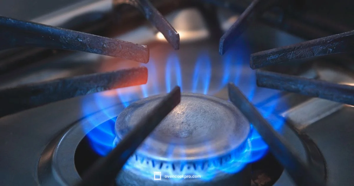 Stove vs Range - Oven Cook Pro