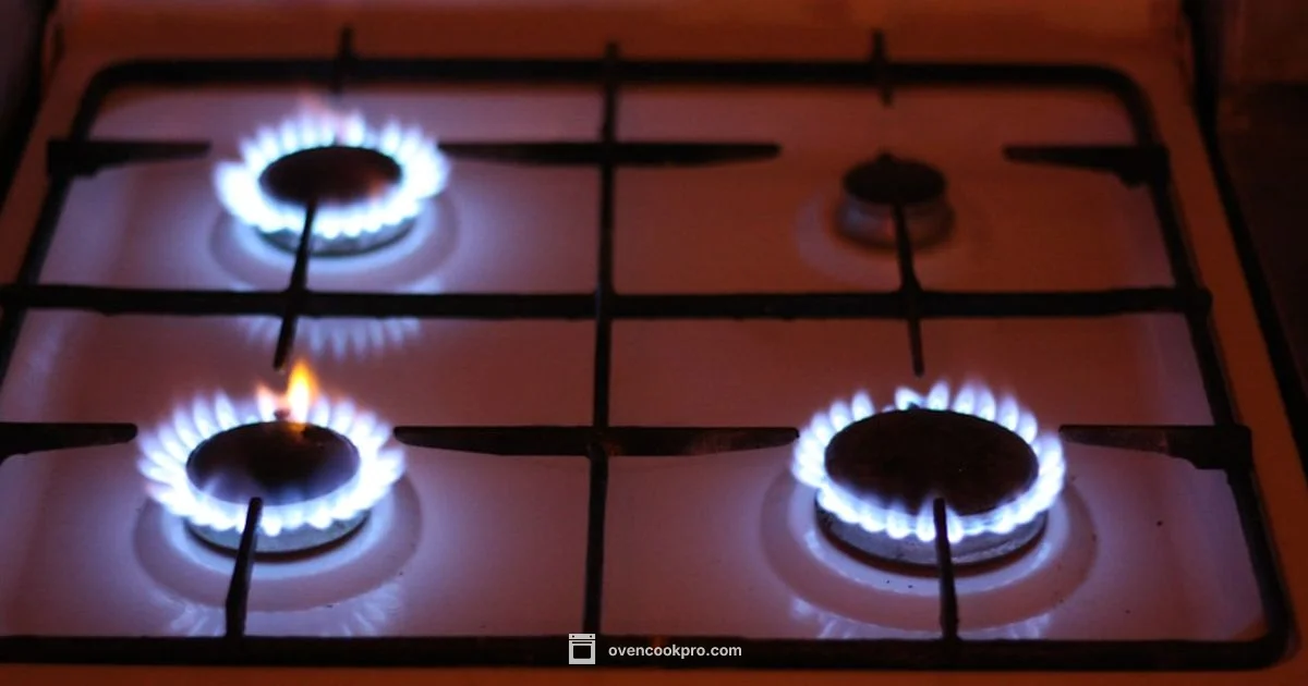 Gas vs Electric Ovens - Oven Cook Pro