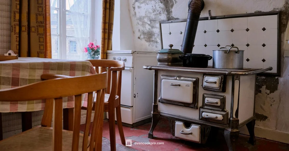 Crispy Oven Wings - Oven Cook Pro