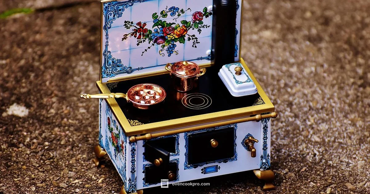 New Oven Costs - Oven Cook Pro