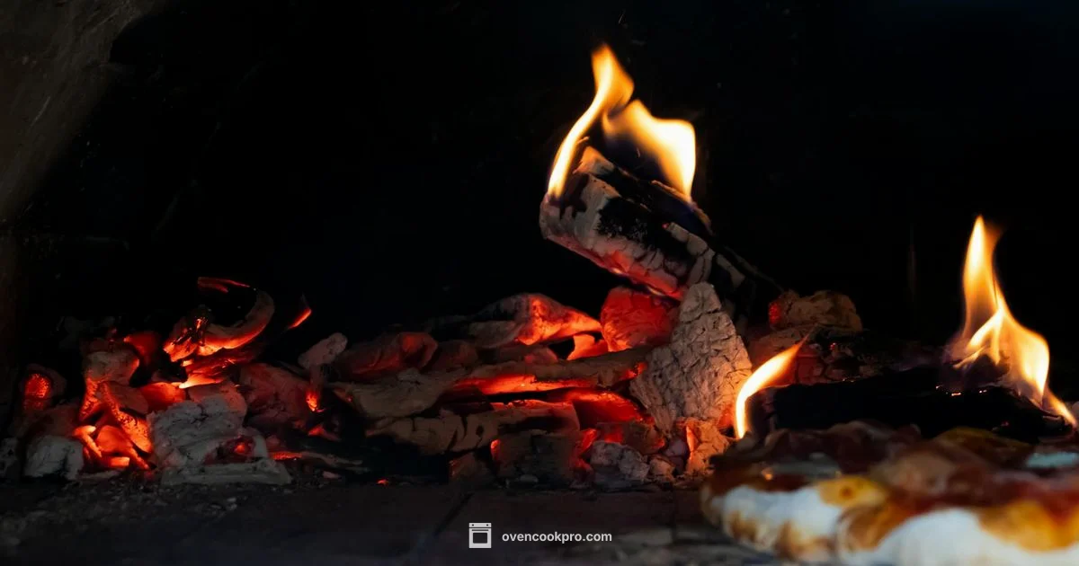 Broiling Basics - Oven Cook Pro