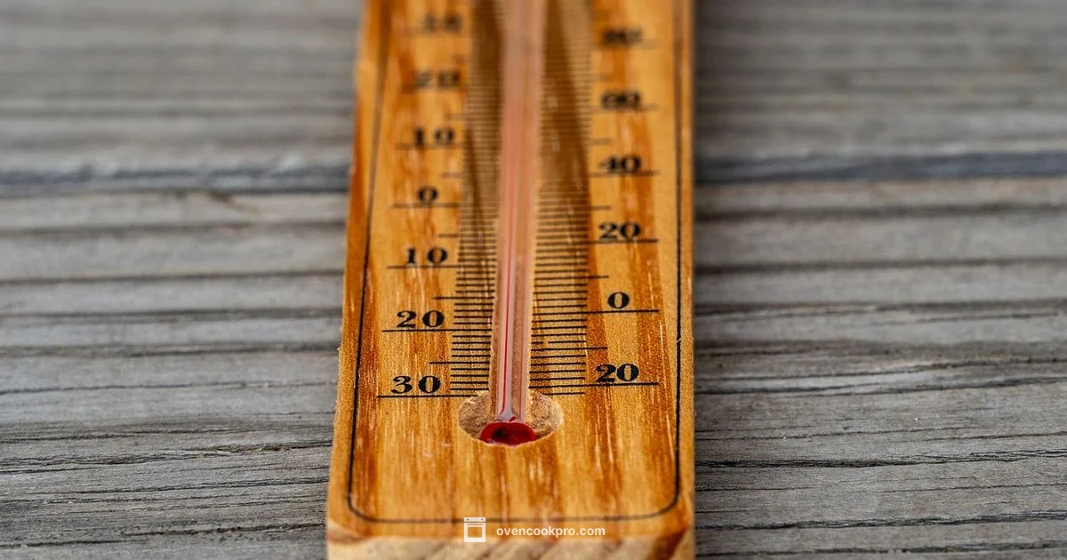Precision In-Oven Readings - Oven Cook Pro
